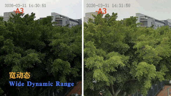 QQ20260512-111151.png